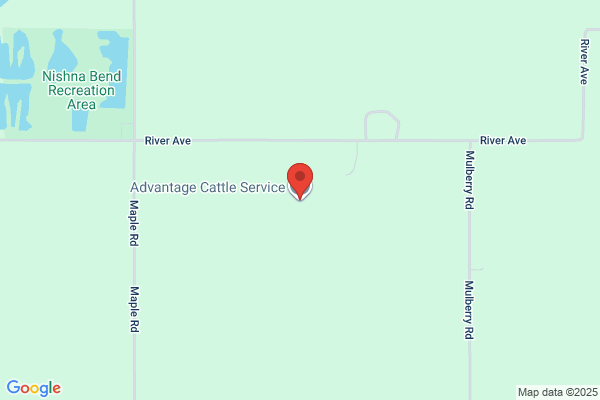 Advantage Cattle Services
