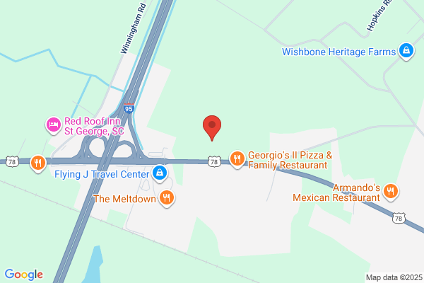 AutoZone Auto Parts