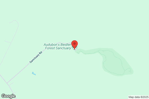 Francis Beidler Forest