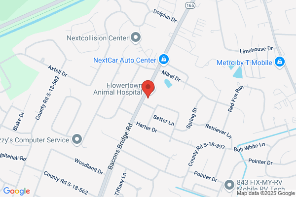 Summerville Chiropractic Llc