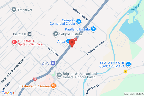 Automobile Service