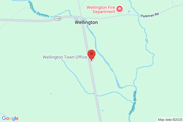 Wellington Town of