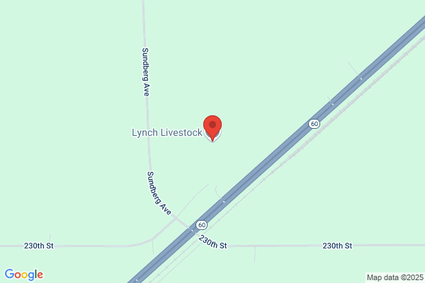 Lynch Livestock