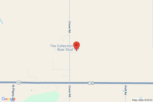 Tlc Boar Stud