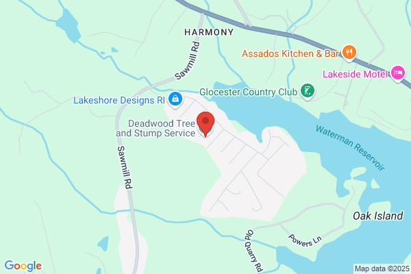 Deadwood Tree and Stump Service