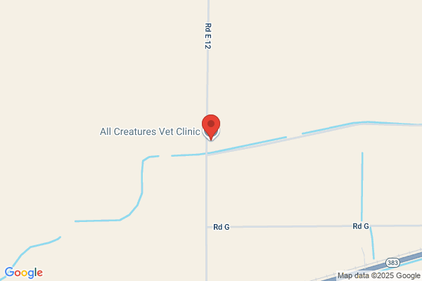 All Critters Veterinary Clinic