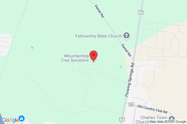 Shannondale Mountain Tree Service