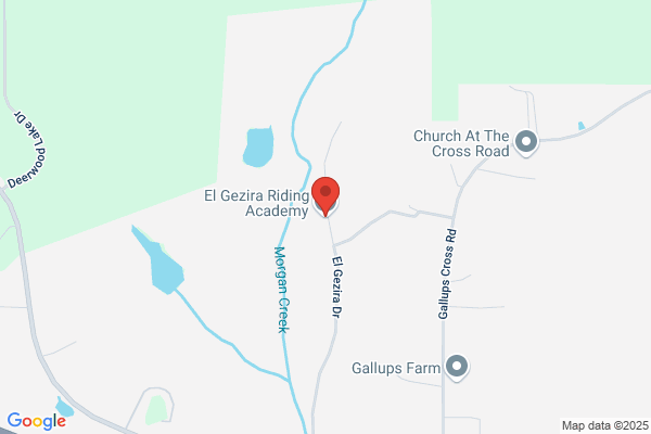 El Gezira Riding Academy