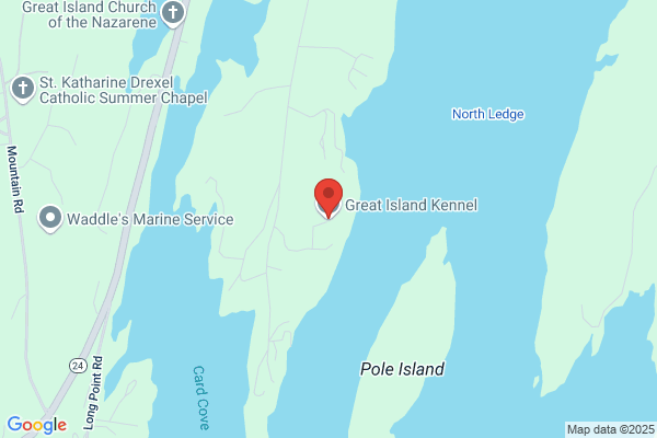 Great Island Kennel