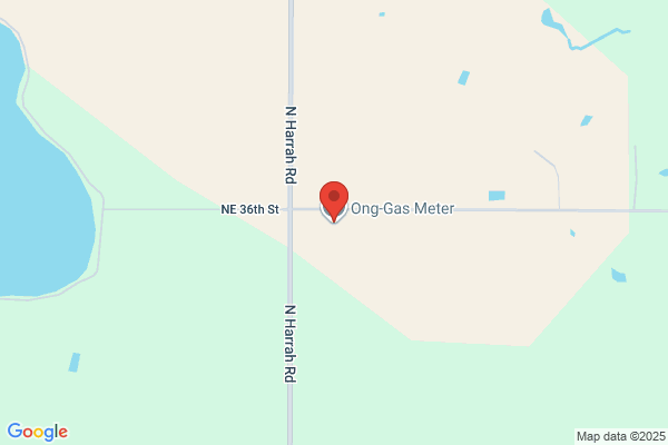 Ong Gas Meter