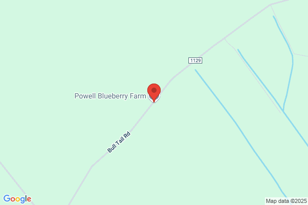 Powell Blueberry Farm
