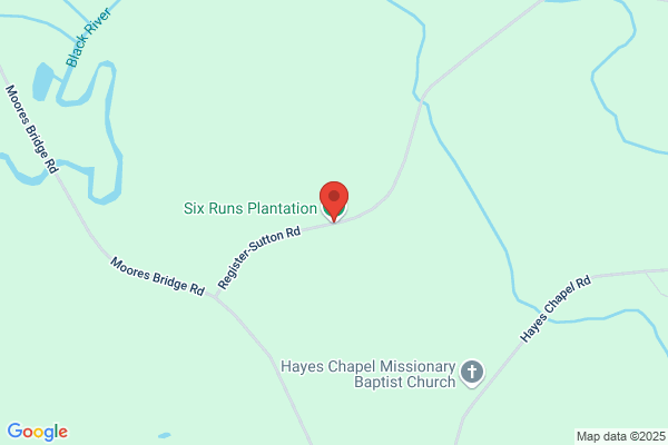 Six Runs Plantation
