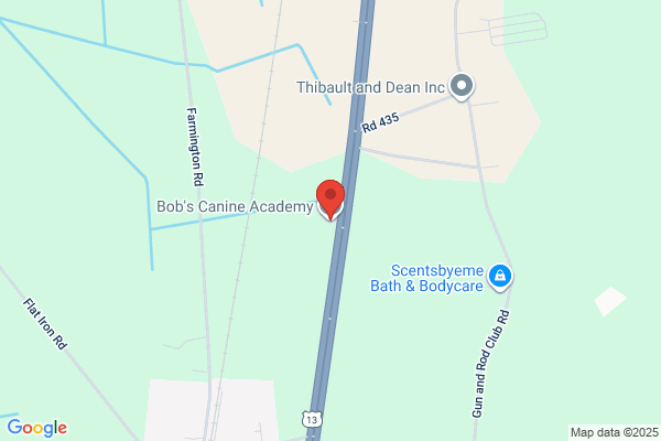 Bobs Canine Academy