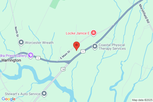 Harrington Irving Mainway