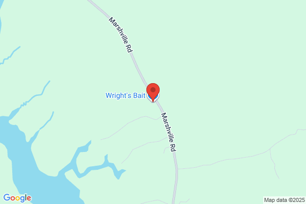 Wrights Bait