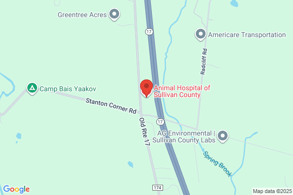 Animal Hospital Of Sullivan County