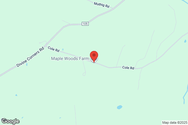 Maple Grove Horse Farm