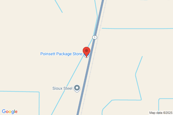 Poinsett Package Store