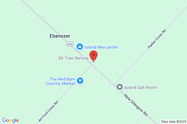S & K Tree Service
