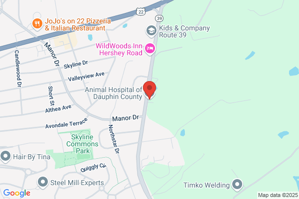 Animal Hospital of Dauphin County