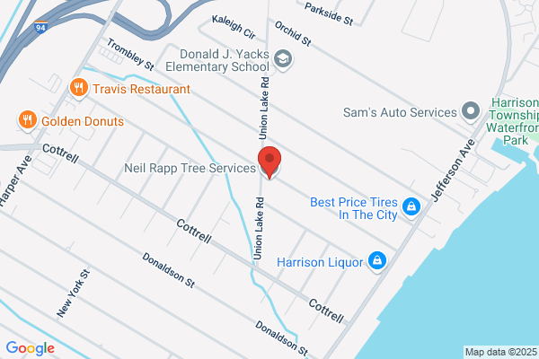 Rapp Neil Tree Service
