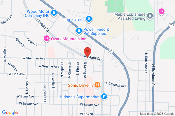 Ozark Motors Inc
