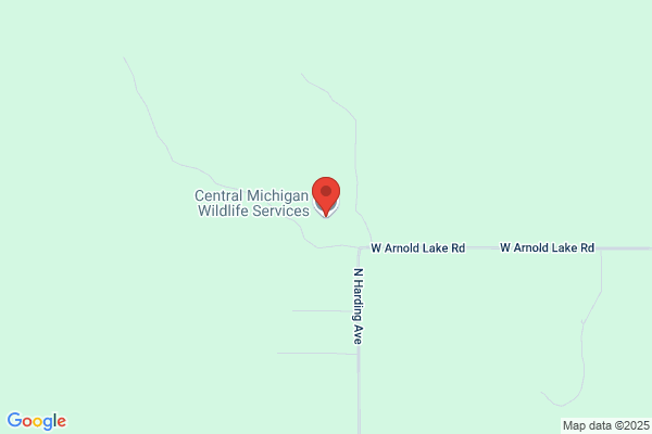 Central Michigan Wildlife Services