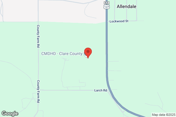 Midmichigan Rehabilitation Services