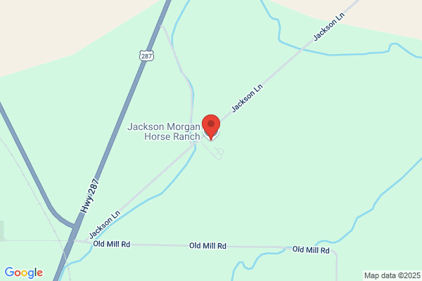 Jackson Morgan Horse Ranch