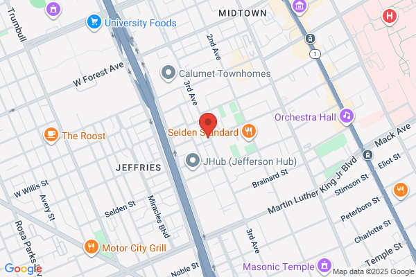 Detroit Fried Chicken
