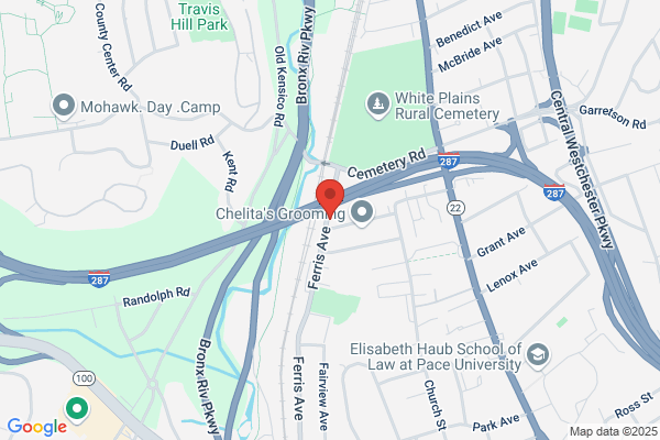 White Plains Automotive Repair Shop