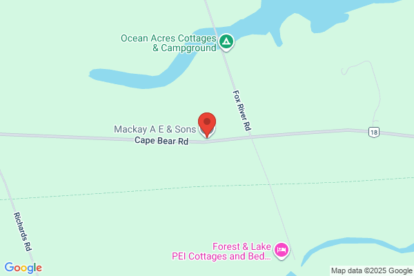 MacKay Kenneth O & Son Inc