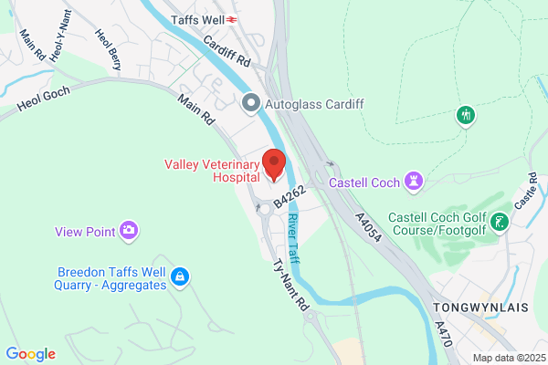 Valley Vets