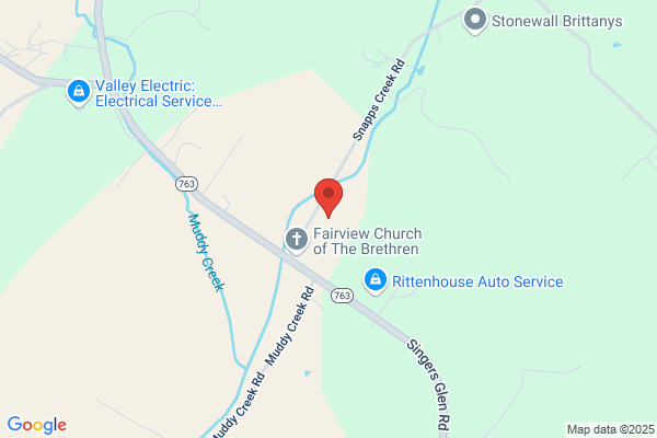 Professional Collection Service