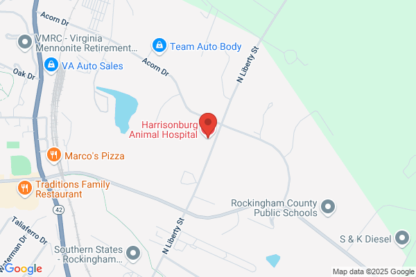 Harrisonburg Animal Hospital