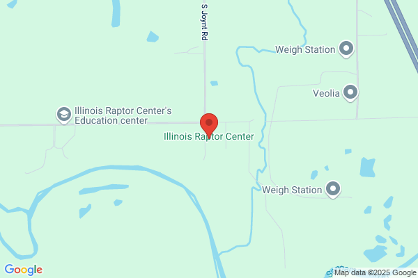 Illinois Raptor Center