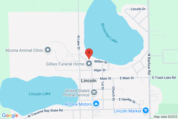 Alcona Area Land Survey