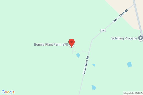 Bonny Lane Nursery