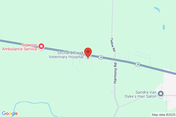 Orchard Veterinary Hospital