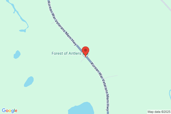 Forest of Antlers