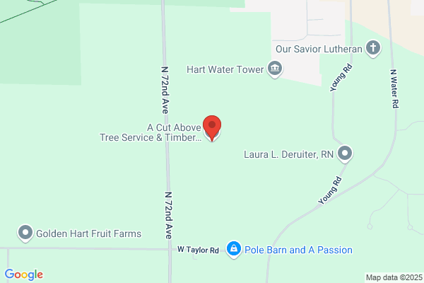 Curtis Tree Service