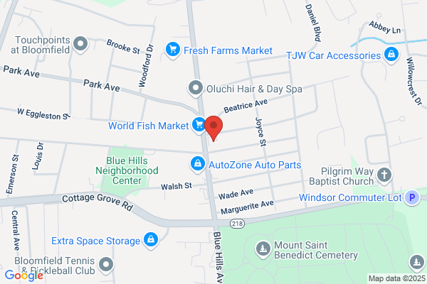 Advance Auto Parts