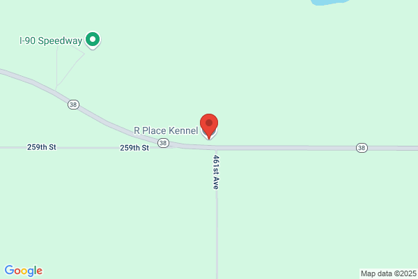 R Place Kennel