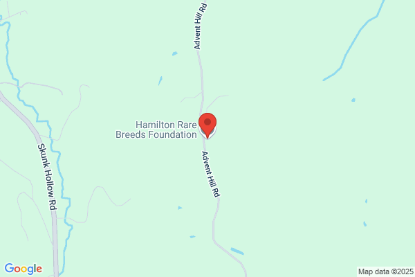 Hamilton Rare Breed Foundation the
