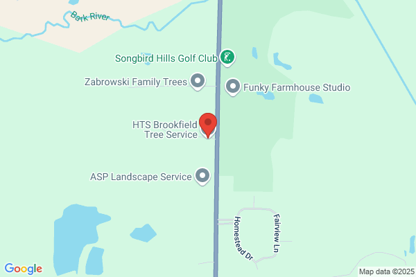 Hazelwood Tree Service