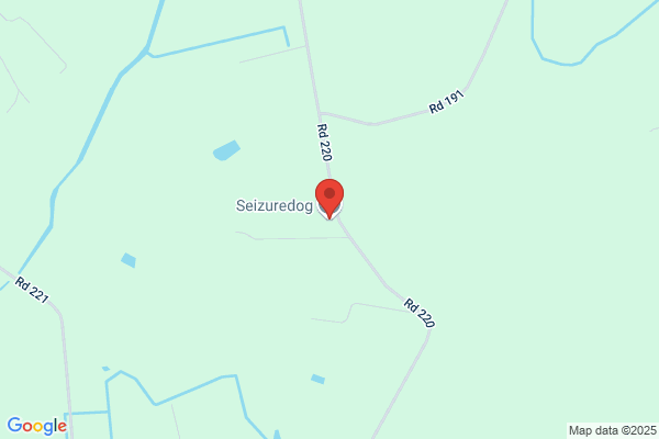 SEIZUREDOG.CO