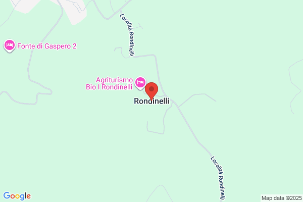 Rondinelli Electric Co