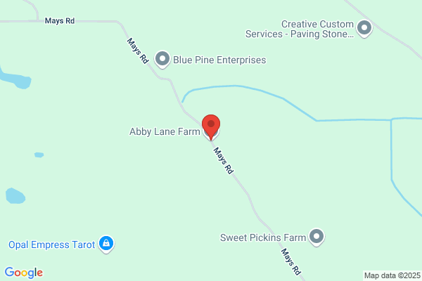 Abbey Lane Farms
