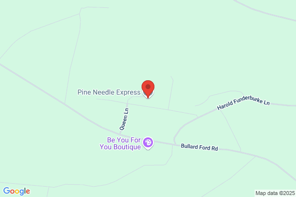 Pine Needle Express