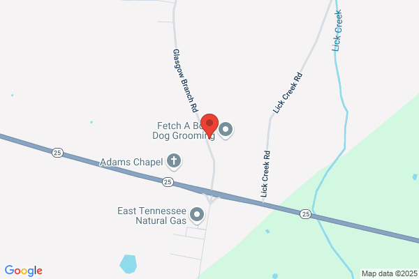 K-9 Companions Dog Training